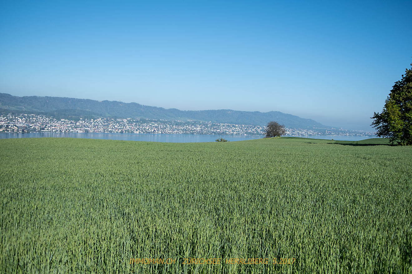 Blick Rüschlikon