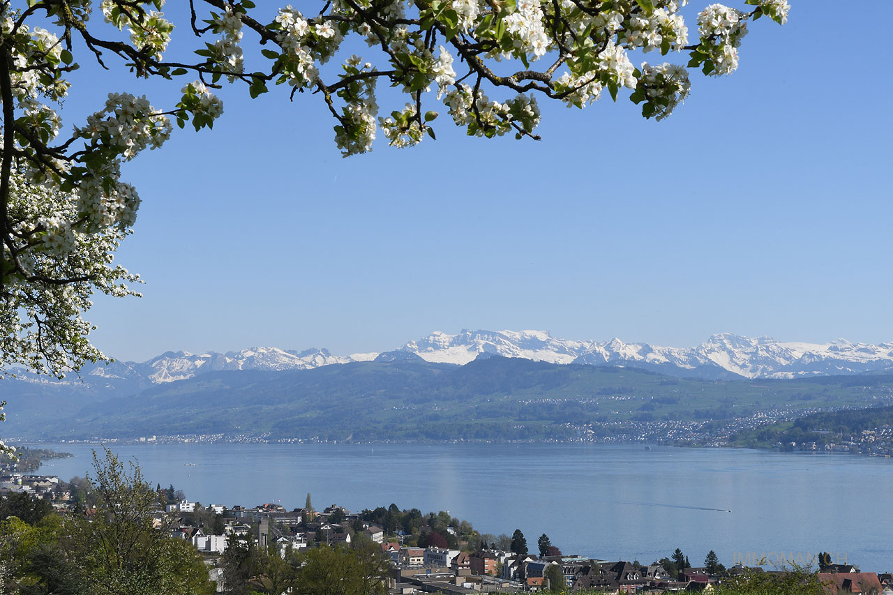 Alpenpanorama