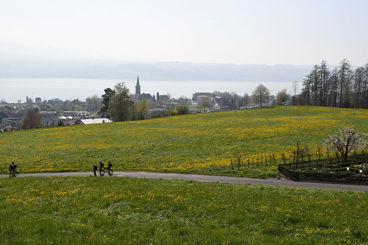 Stäfa unter Frohberg II