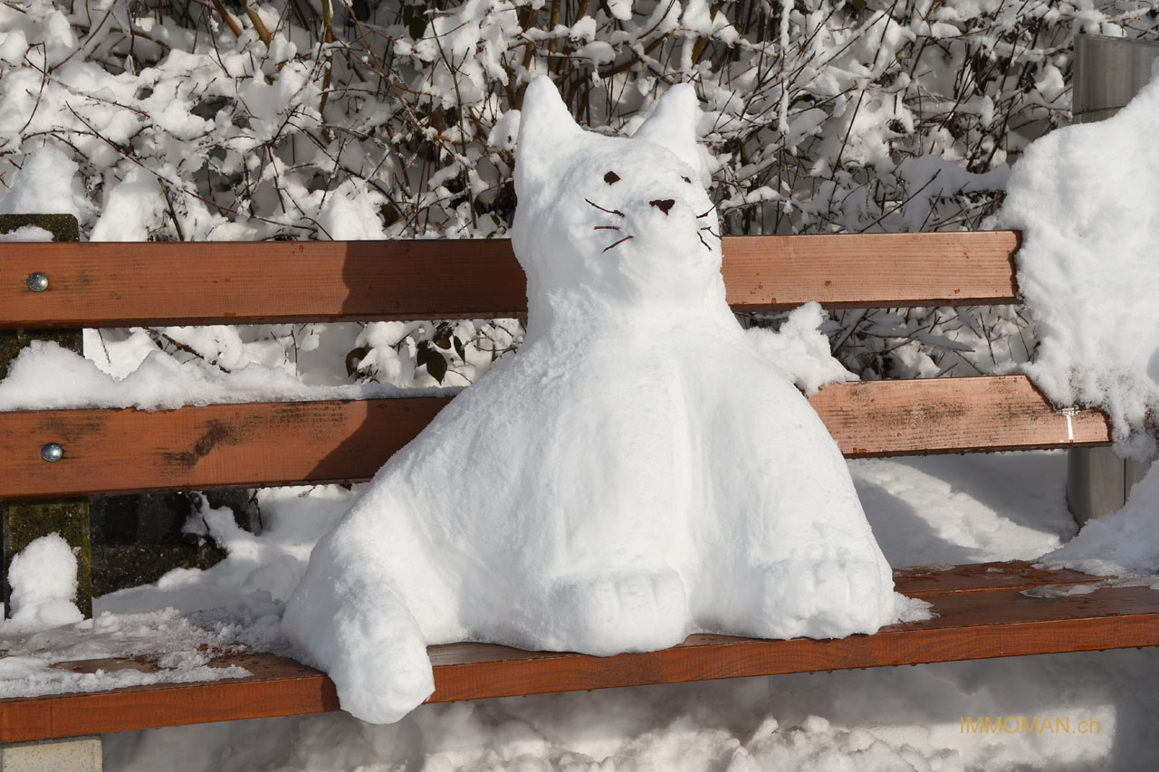 Die äusserst seltene Schneekatze! (unkown artist)