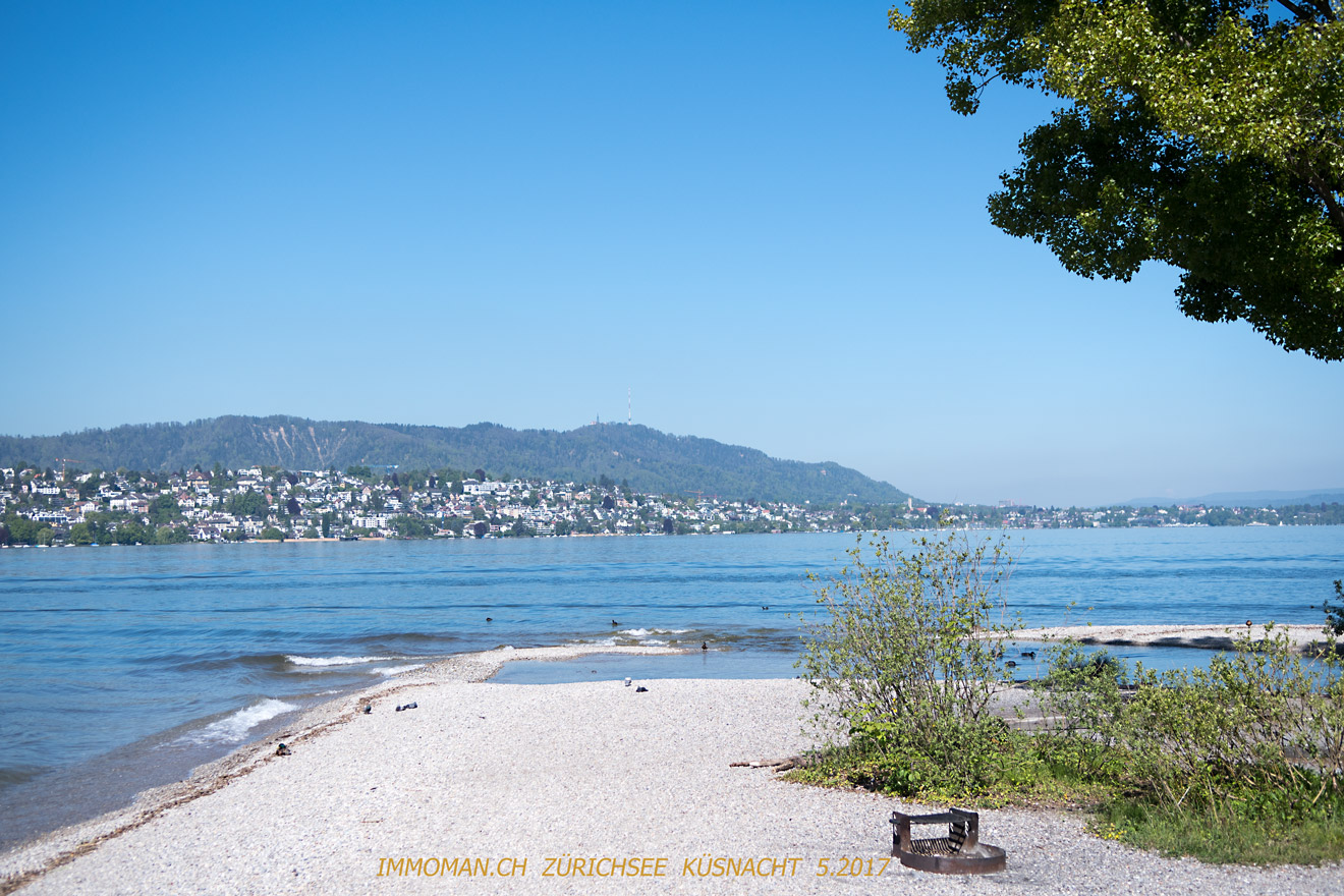 Zürich Horn Grillplatz