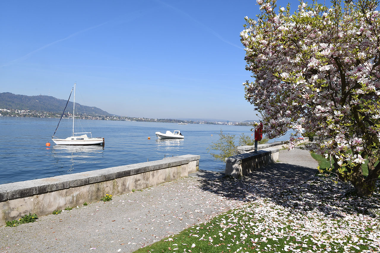 Auszeitplatz vor Zürich