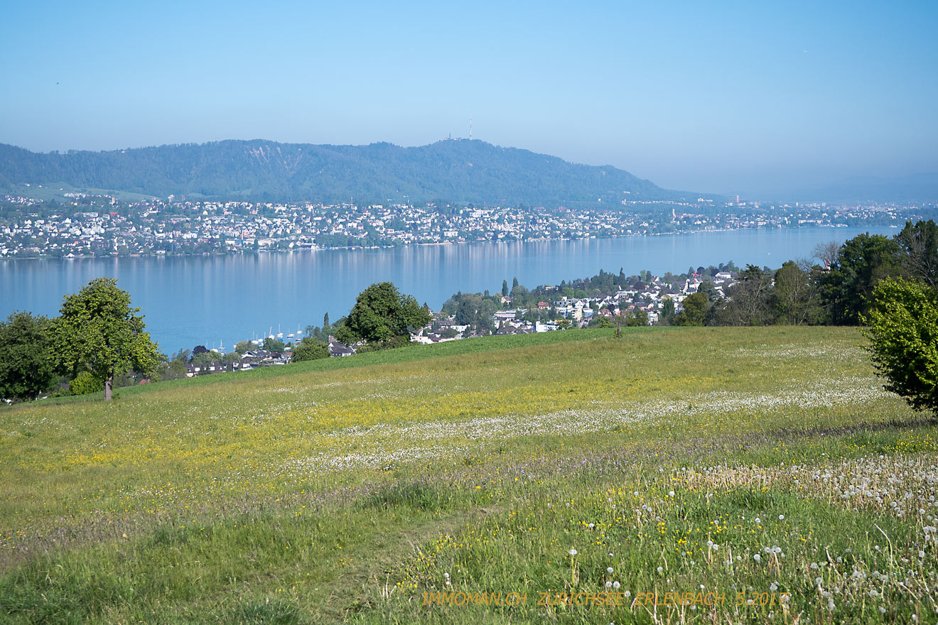 Sunnenberg vorne