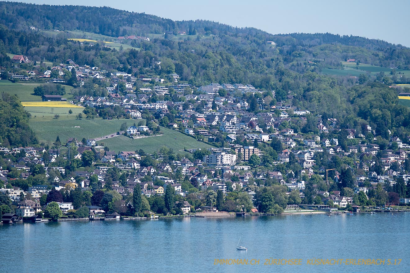 Vom See: Küsnacht / Erlenbach