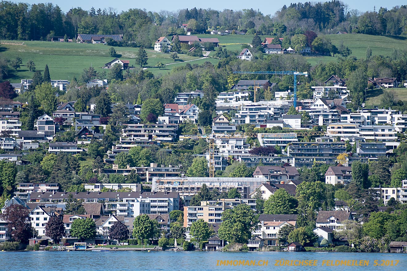 Vom See: Feldmeilen