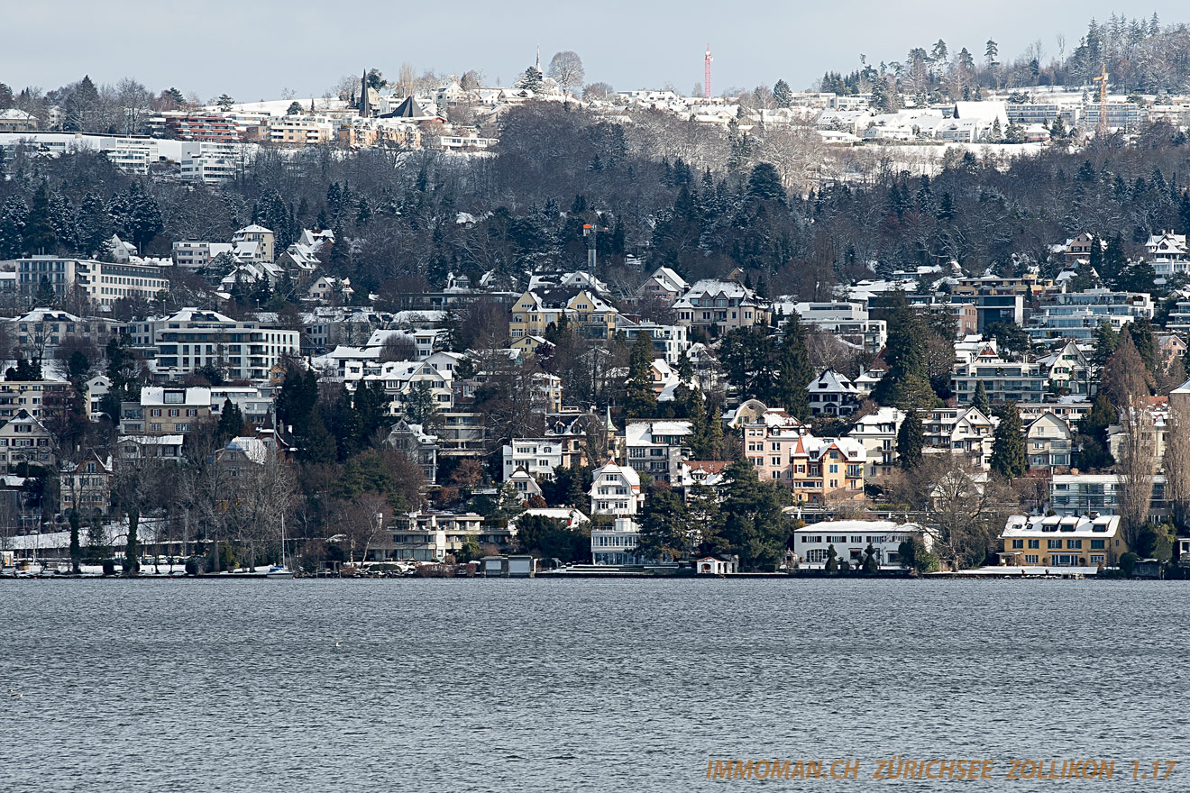 Zollikon vom See I