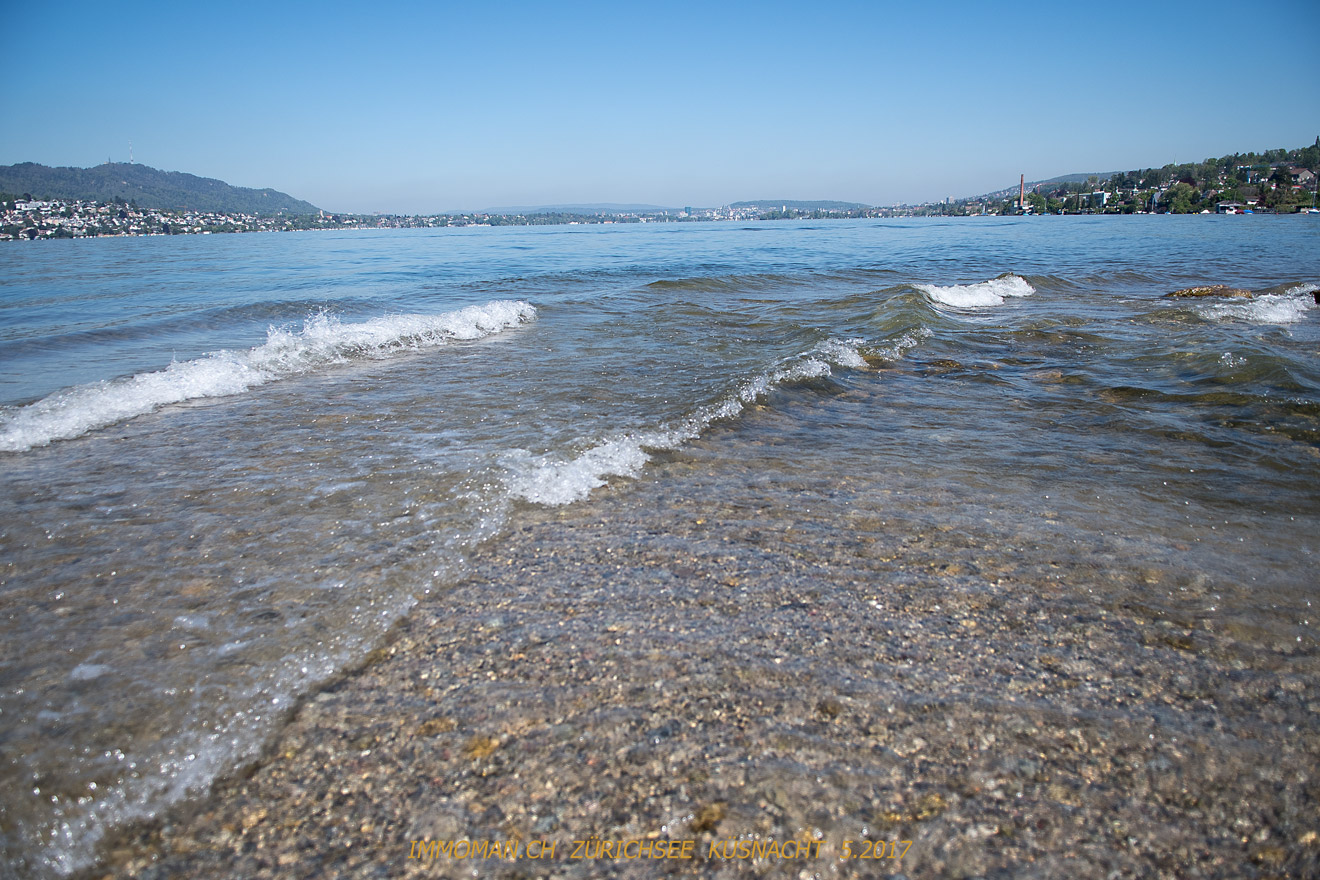 Küsnacht Horn Zürichseewasser