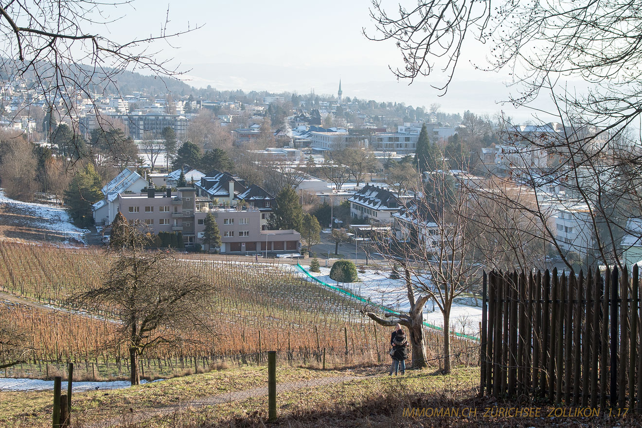 Zollikon von Zürich aus