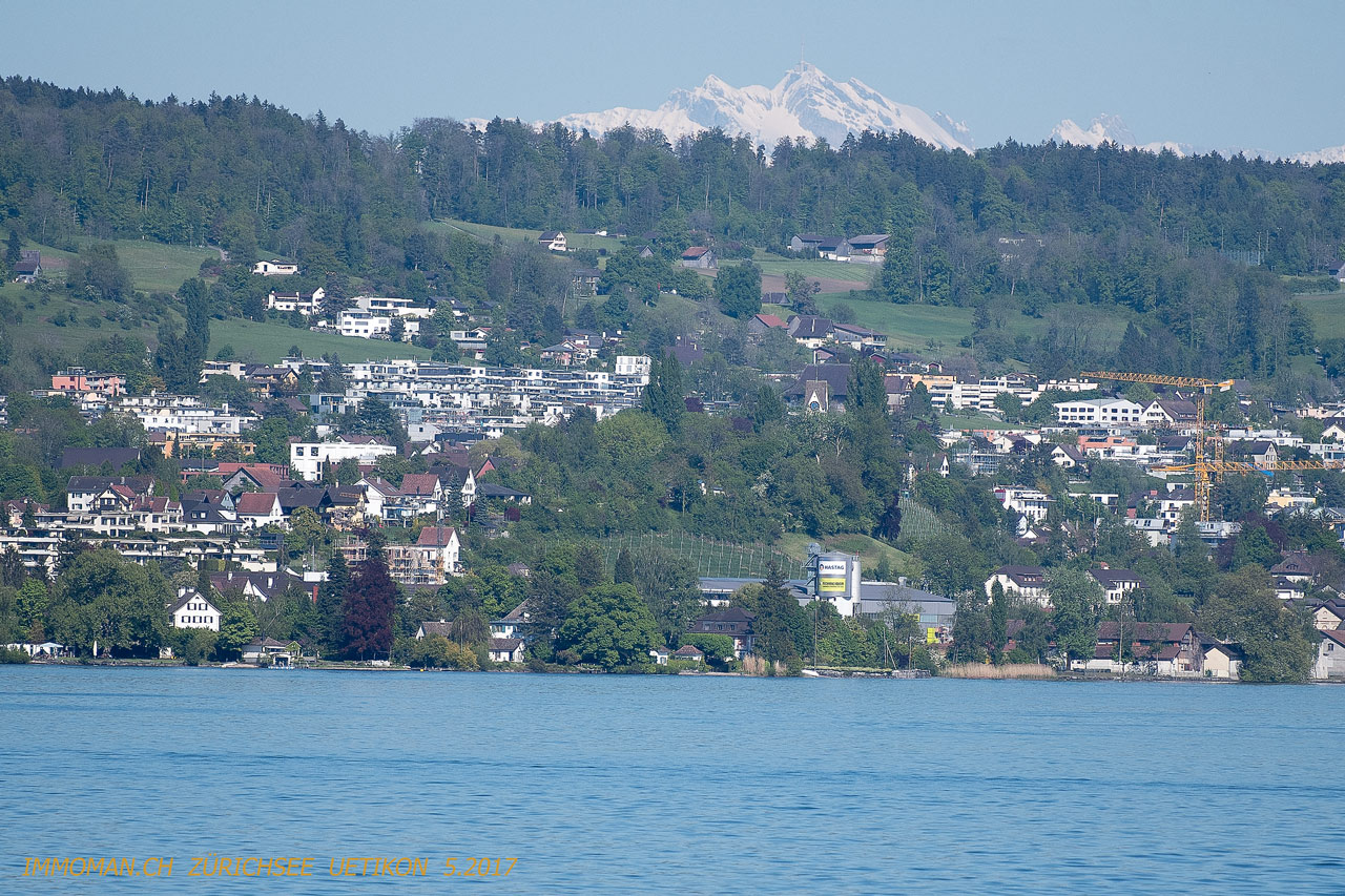 Vom See: Fährenblick