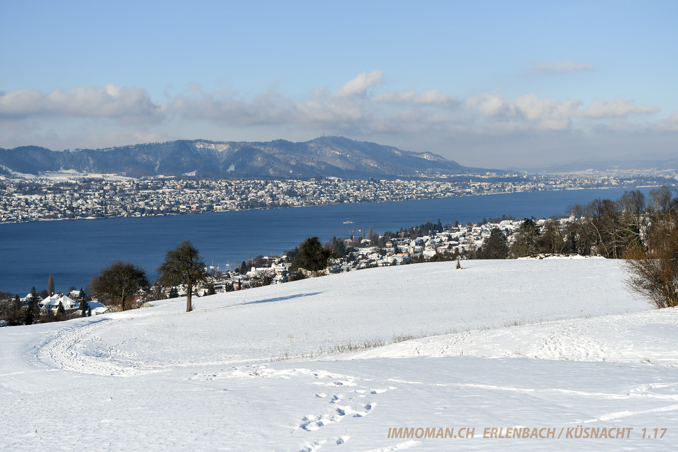 Panorama nach Zürich