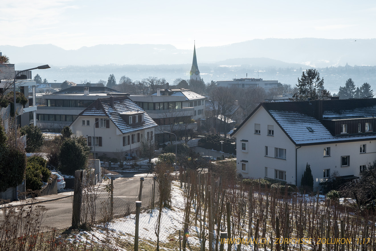 Zollikon Rebberg & Kirche