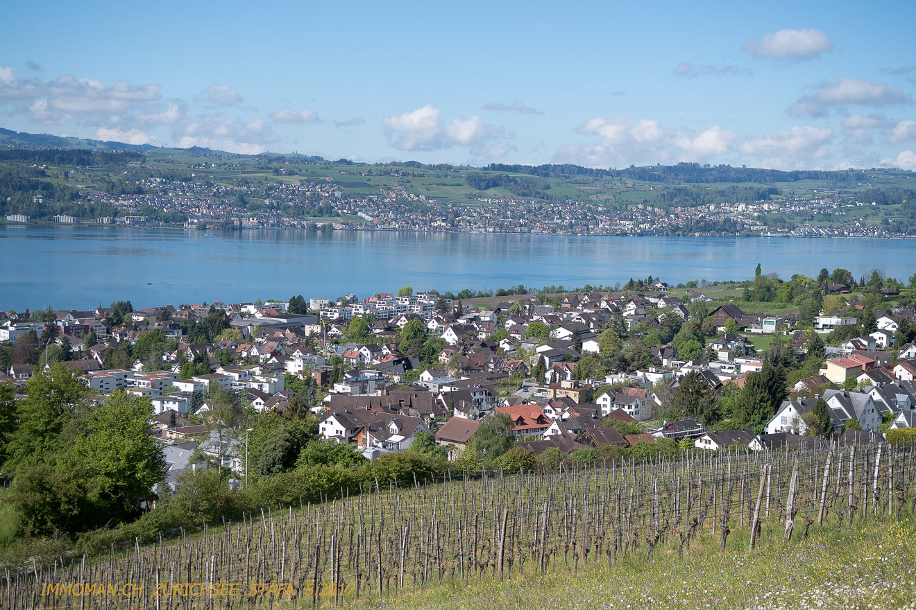 Stäfa nach Richterswil