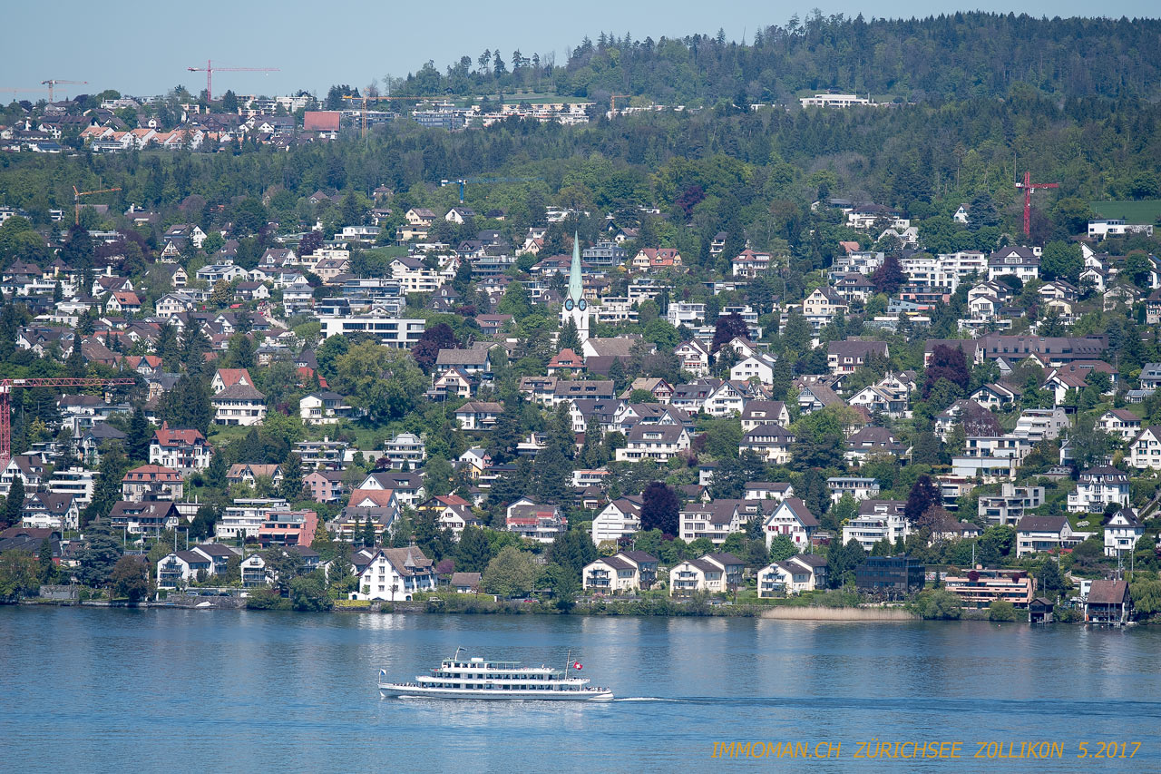 Vom See: Zollikon